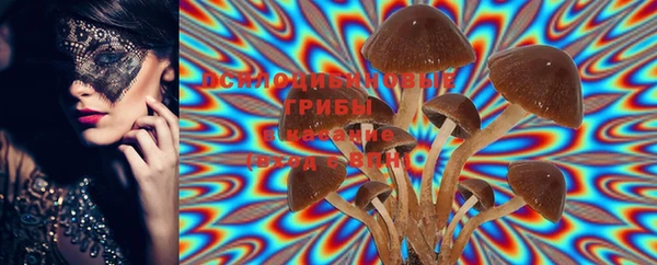 PSILOCYBIN Одинцово